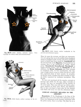 Illustration for article titled In 1971, Duke University professors wrote a wank-friendly medical textbook